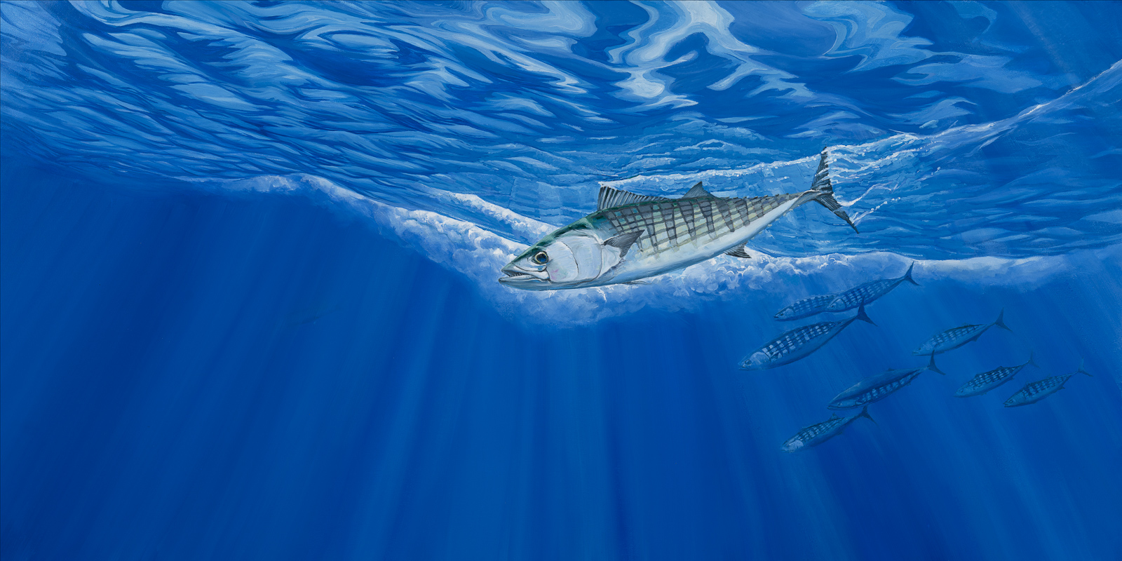 Bonito painting by Paul Elder