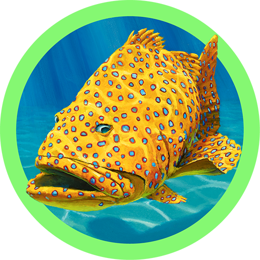Grouper icon by Paul Elder
